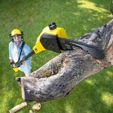 Lawn Pest Prevention in Prineville, OR